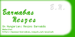 barnabas meszes business card
