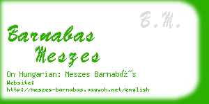 barnabas meszes business card